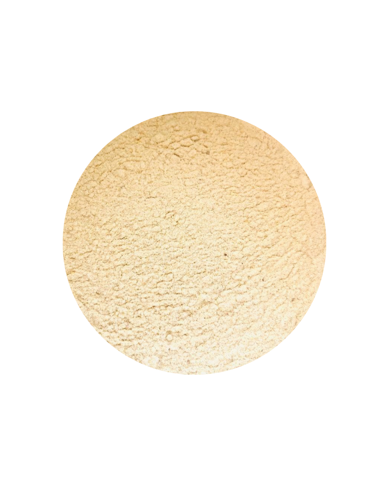 Onion Powder, White - Organic