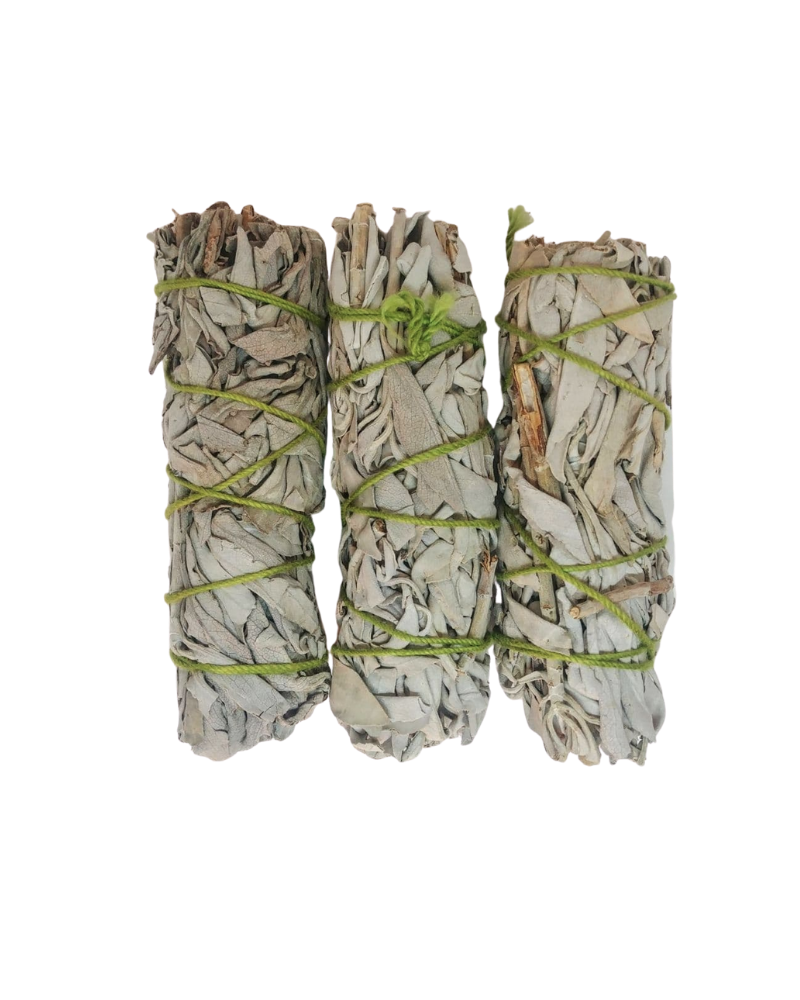 Dragonfly Herbs: 3 sticks of california white sage on white background