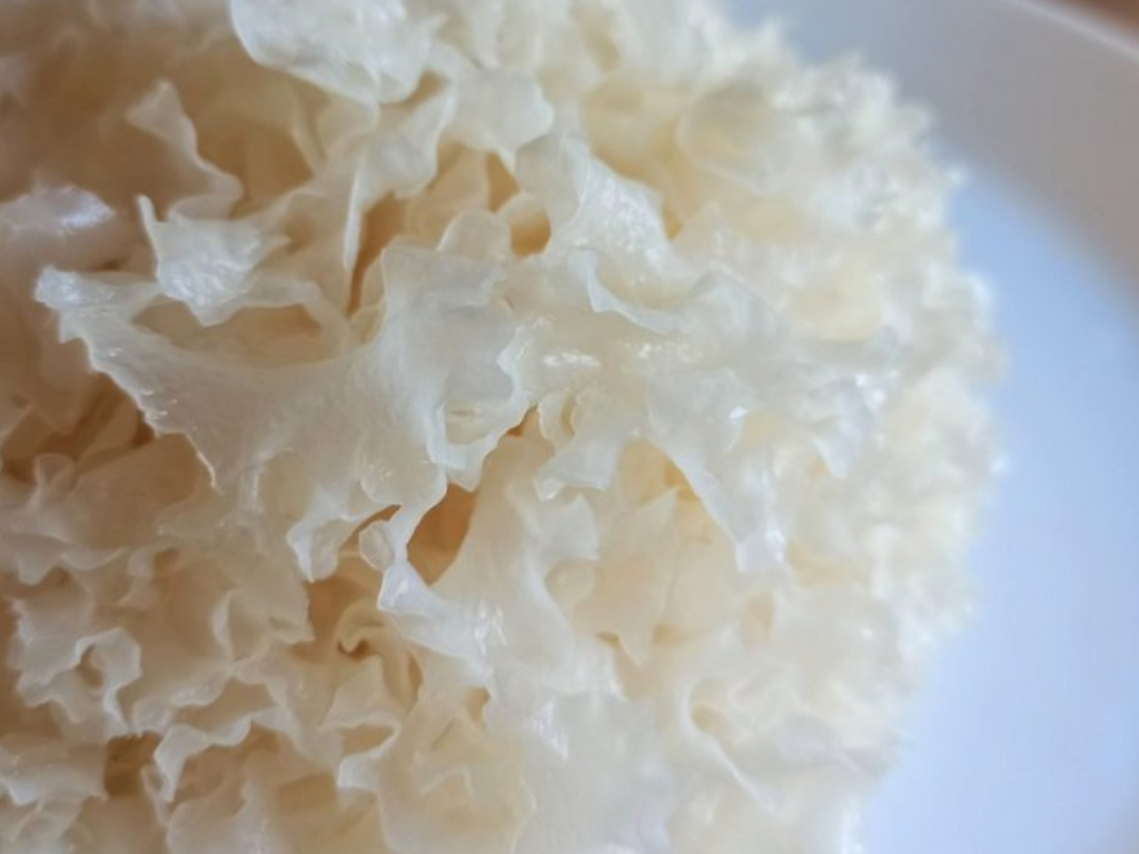Unveiling the Beauty Within The Incredible Benefits of Tremella Mushr Dragonfly Herbs
