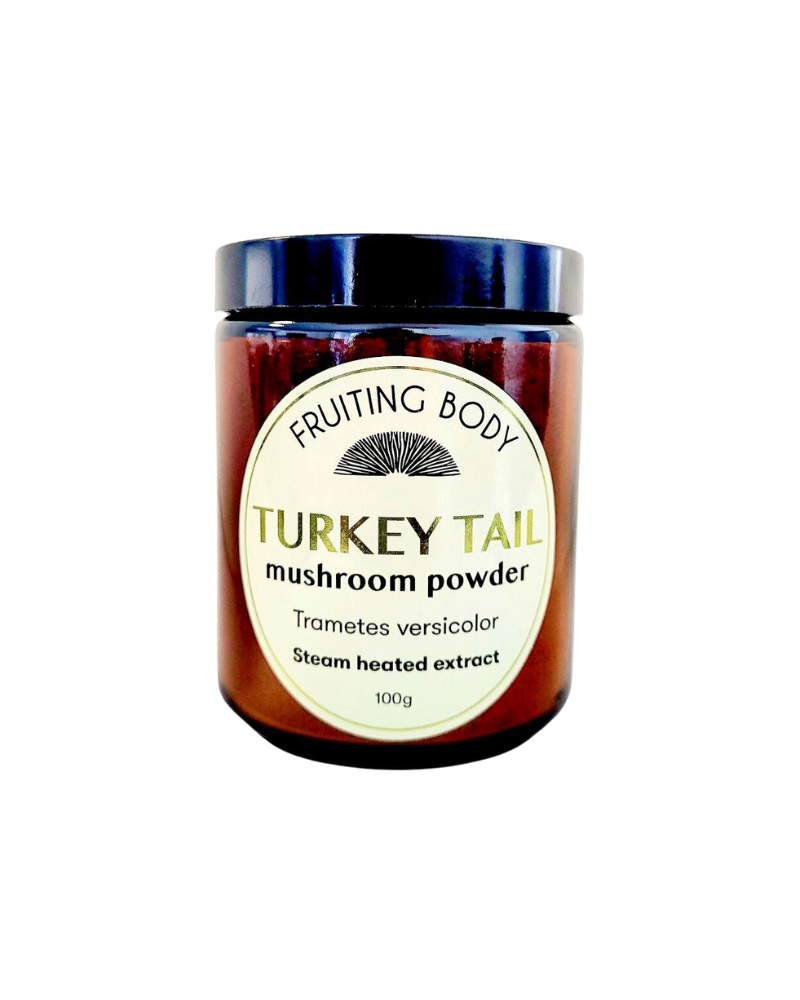 Fruiting Body Turkey Tail Mushroom Powder