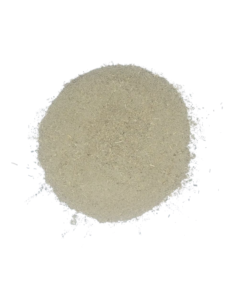 Dragonfly Herbs: Powerful Ayurvedic herb Organic Guduchi powder on white background