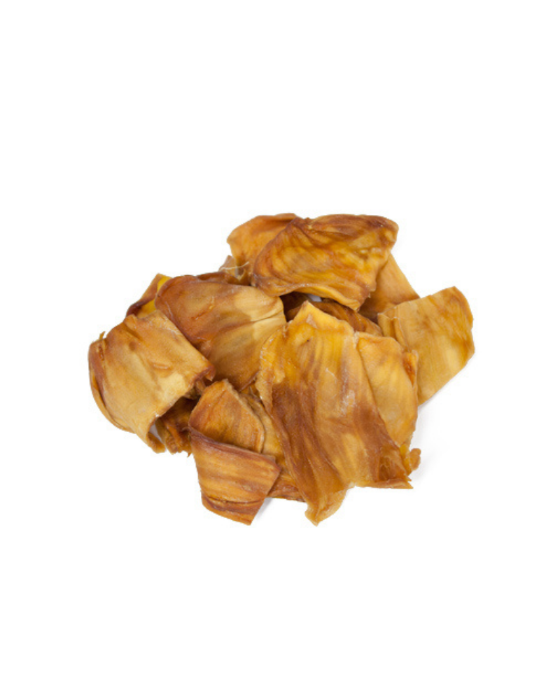 Dragonfly Herbs: pieces of organic dried jackfruit on white background