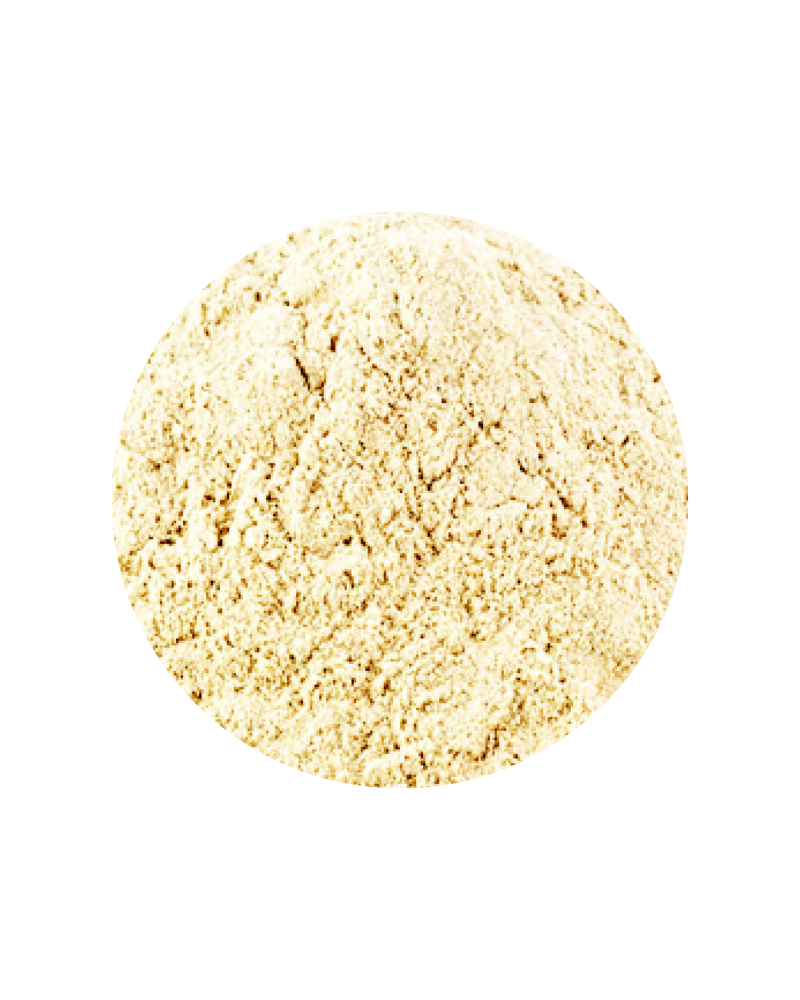 Shatavari Root Powder - Organic