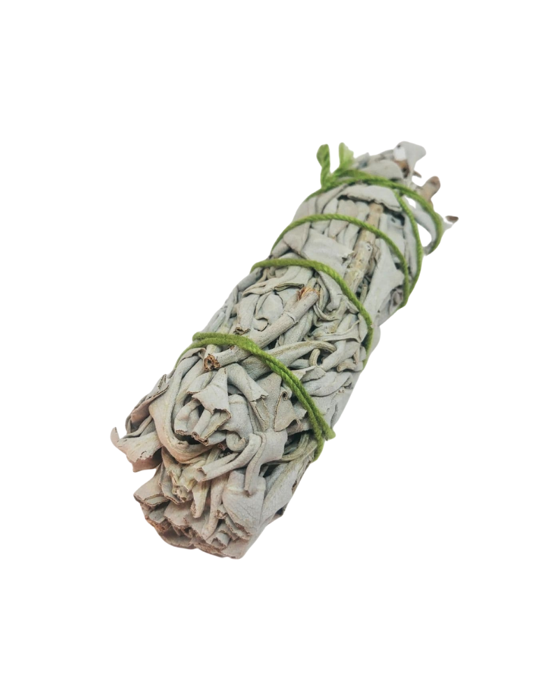 Dragonfly Herbs: California white sage stick